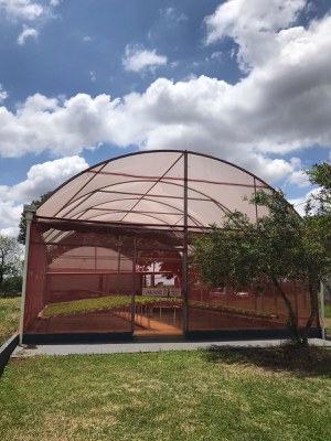 Estufa de Alfaces do  GEHORT - Grupo de Estudos em Horticultura. A parte superior da estufa tem formato em arco com telas. Dentro da estufa bancadas com variedades de alface.
